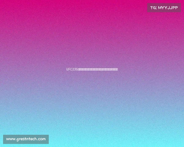 UFC235格斗盛典乔恩琼斯卫冕轻重量级王座乌斯曼夺次中量级冠军