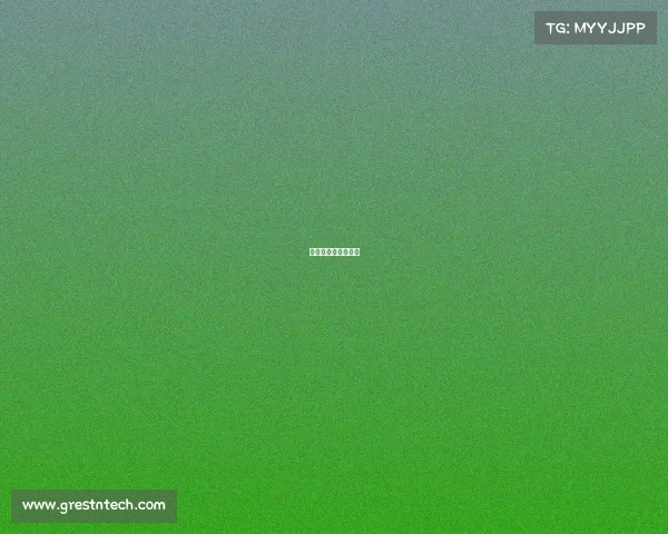 昆仑决出场费和奖金