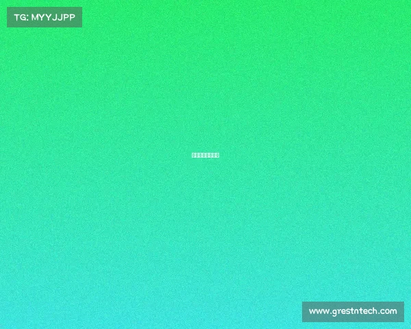 赛事总监和主教练